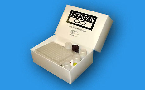 Lifespan Kit Box